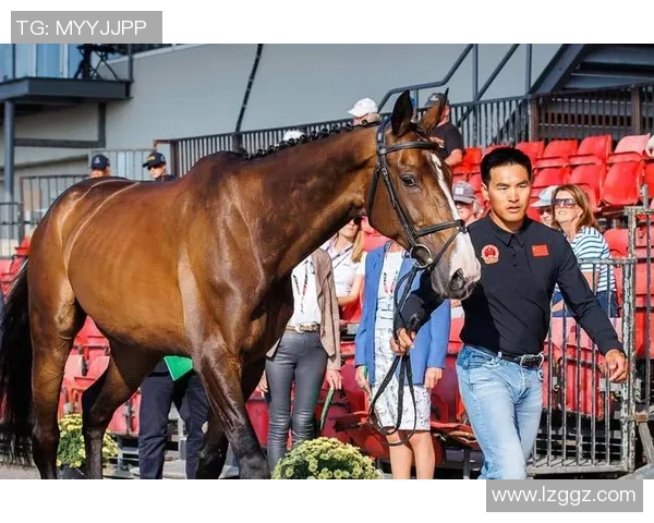 中国马术队历史性突破首次获得奥运团体赛资格迈向新征程